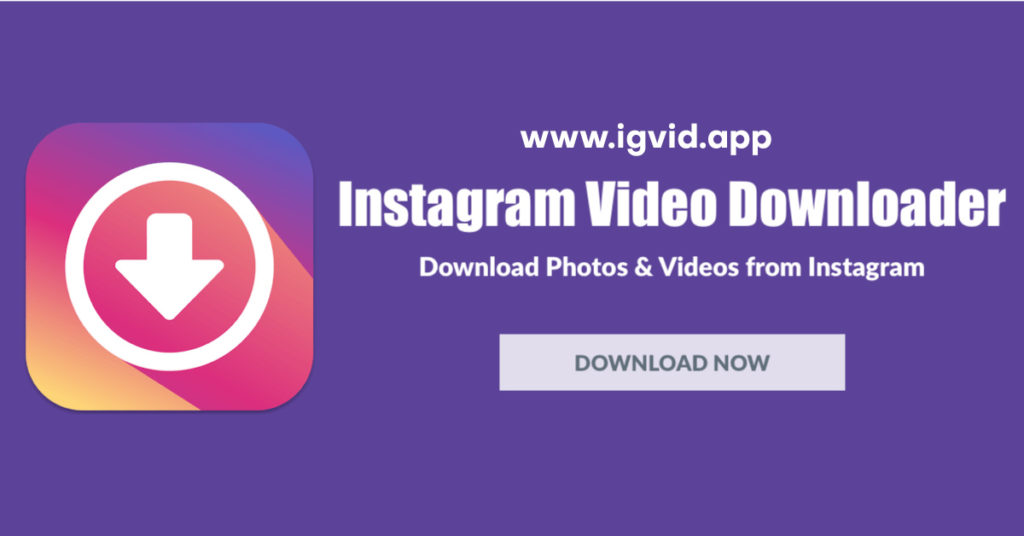 Online Instagram Download